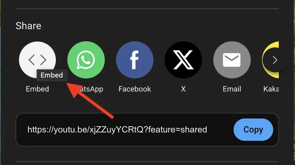 YouTube embed option